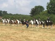 ink horse show line up pic